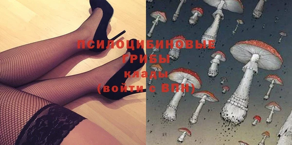 МДПВ Арсеньев